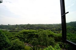Blk 549A Segar Palmview (Bukit Panjang), HDB 4 Rooms #595214621